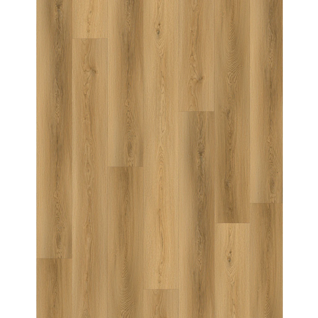 SPC CARMEL PRO 8013 עובי 5 מ"מ גב EVA - Image 2