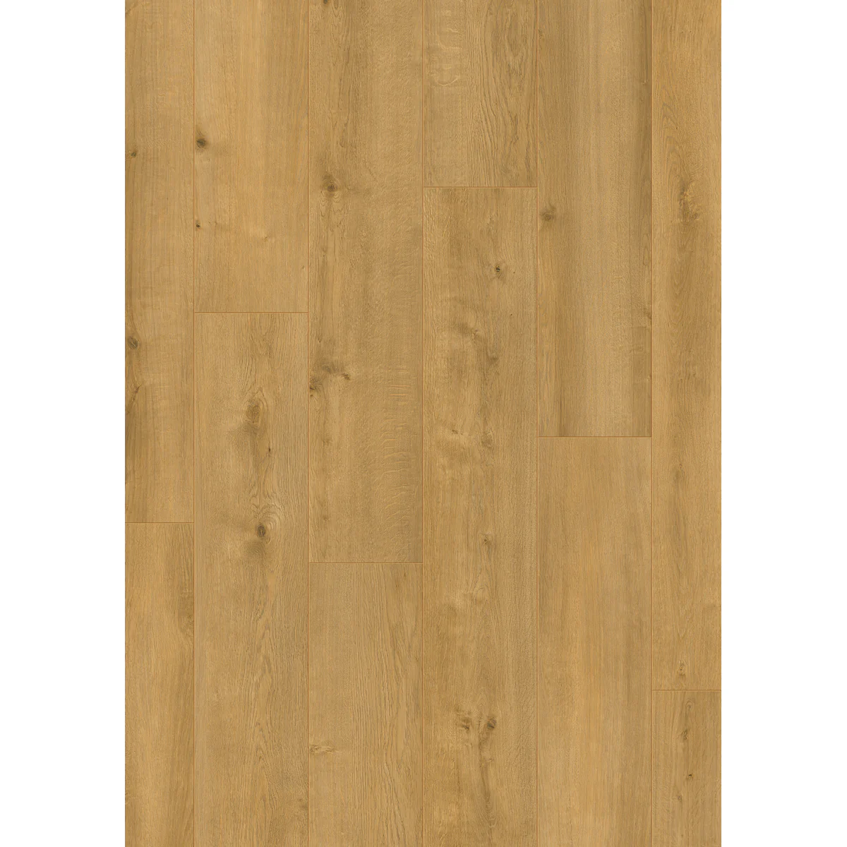 CARMEL PRO 696 פרקט למינציה - Image 2