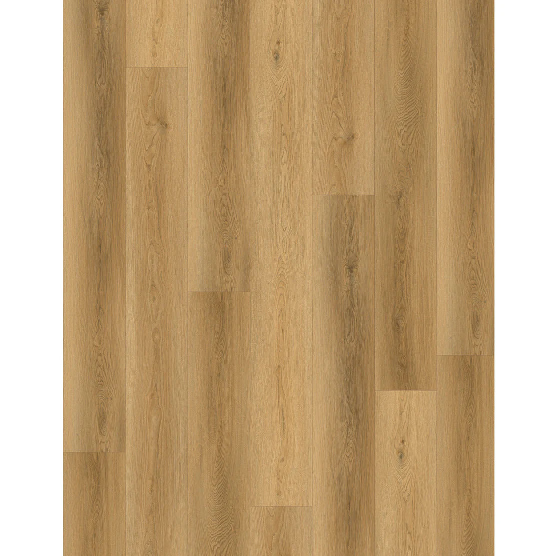 SPC CARMEL PRO 8006 עובי 5 מ"מ גב EVA - Image 2