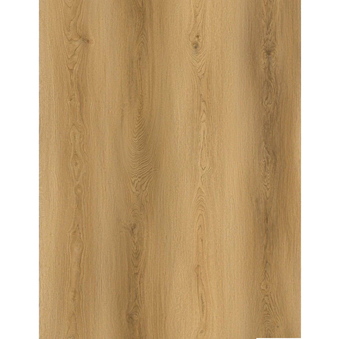 SPC CARMEL PRO 8006 עובי 5 מ"מ גב EVA - Image 3